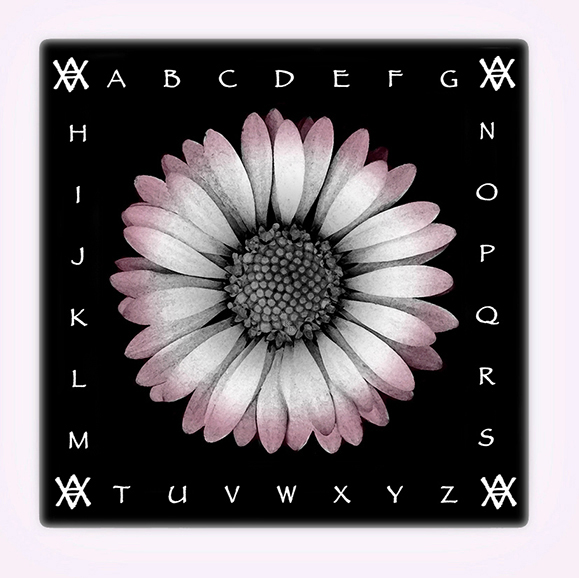 Audrey Anderson Proofreading